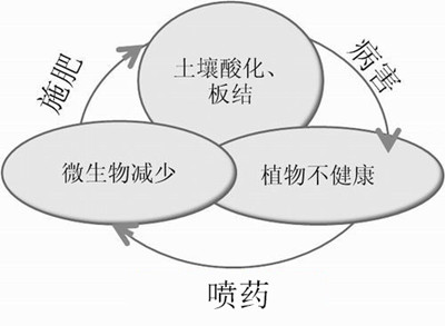 化肥不等于科學(xué)，請(qǐng)客觀評(píng)判！